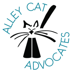 Logo for 2027 Cat Calendar Contest