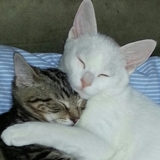 Entry image for Dusty & Riley