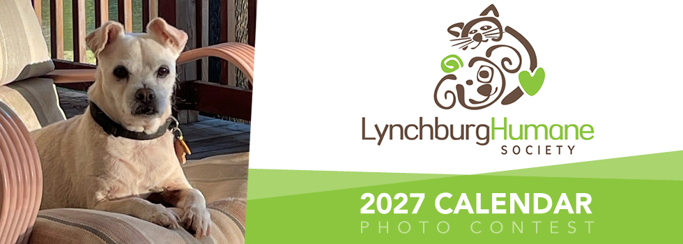 Banner for Lynchburg Humane Society 2027 Calendar Contest
