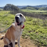 Entry image for Jane