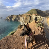 Entry image for Bella 