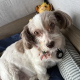 Entry image for Macie