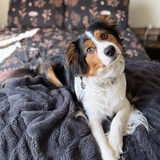 Entry image for Benny 