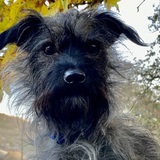 Entry image for Jack