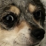Entry image for Katie 