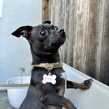 Entry image for Bitsy Ramirez Gonzalez Escobar III