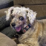 Entry image for LuLu