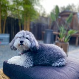 Entry image for Trudi
