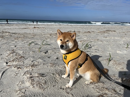 Entry image for Yumi. Clicking this image will show a larger photo