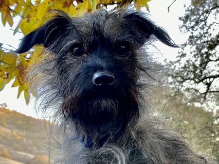 Entry image for Jack. Clicking this image will show a larger photo