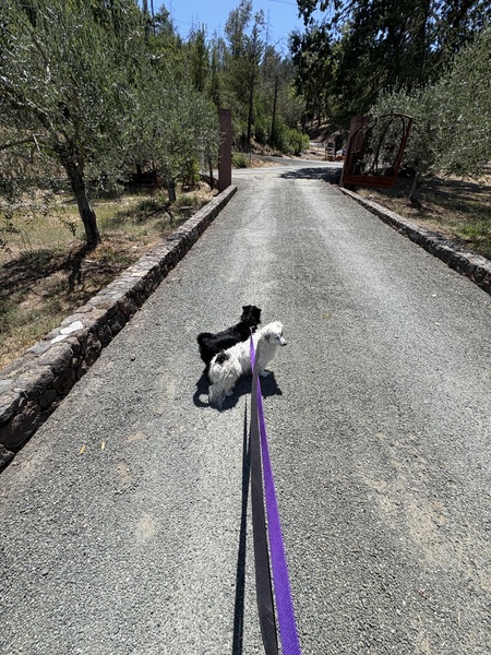 Entry image for Stretch and Jenna. Clicking this image will show a larger photo