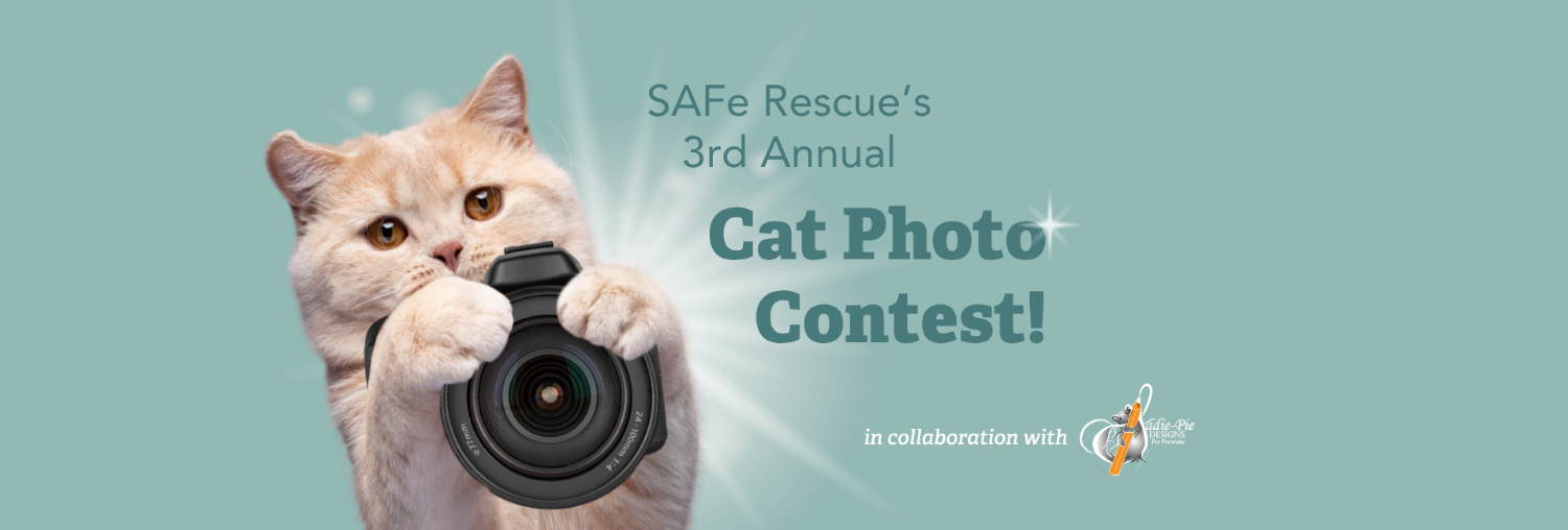 Banner for SAFe Rescue’s 3rd Annual Cat Photo Contest