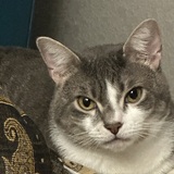 Entry image for Roger