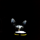 Entry image for Jubei