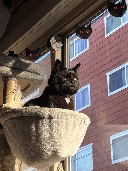 Entry image for Salem. Clicking this image will show a larger photo
