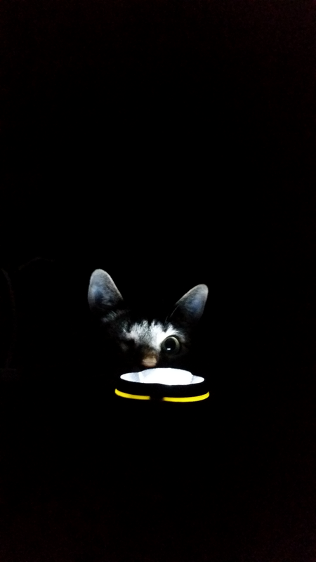 Entry image for Jubei. Clicking this image will show a larger photo