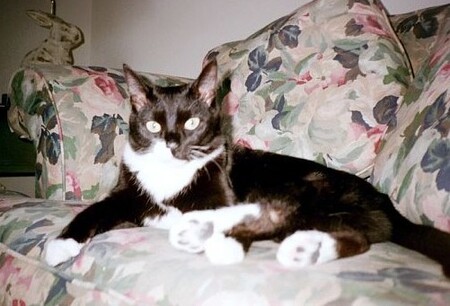 Entry image for Zoe. Clicking this image will show a larger photo