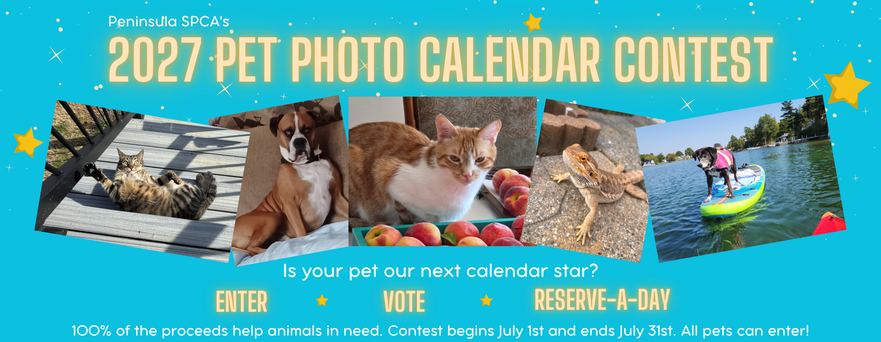 Banner for 2027 Peninsula SPCA Calendar Photo Contest
