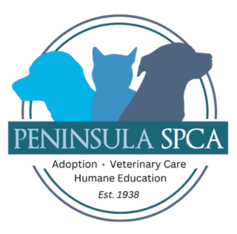 Logo for 2027 Peninsula SPCA Calendar Photo Contest