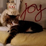 Entry image for Miss Joy