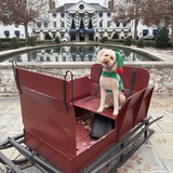 Entry image for Duke 