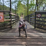 Entry image for Boosie