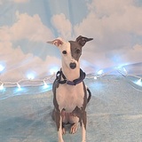 Entry image for Kayley