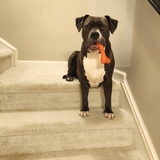 Entry image for Maggie