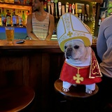 Entry image for Toast