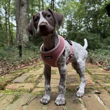 Entry image for Pepper