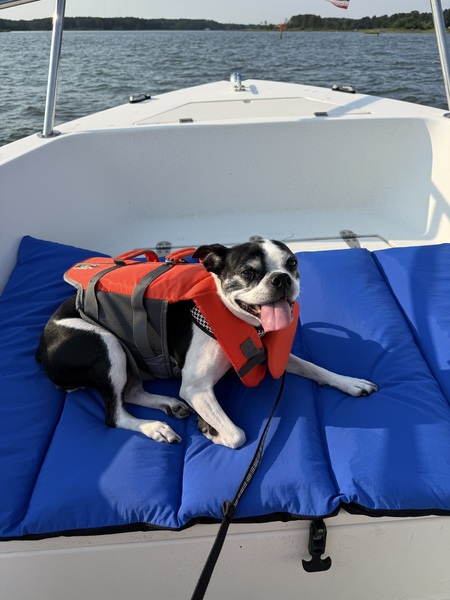 Entry image for Pearl. Clicking this image will show a larger photo
