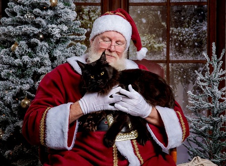 Entry image for Alexander the Bear. Clicking this image will show a larger photo