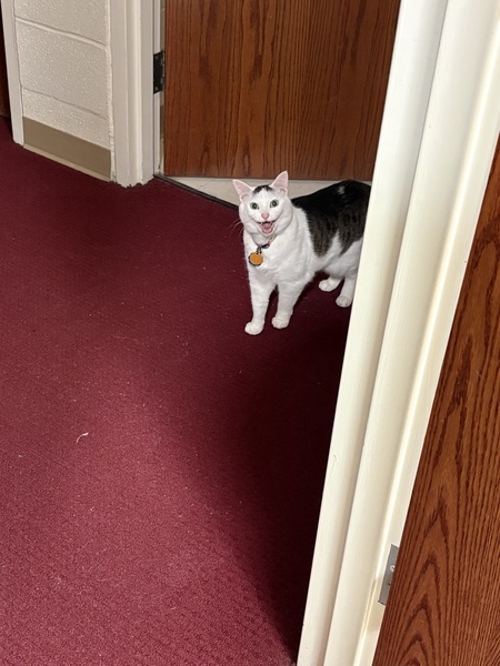 Entry image for Mya. Clicking this image will show a larger photo