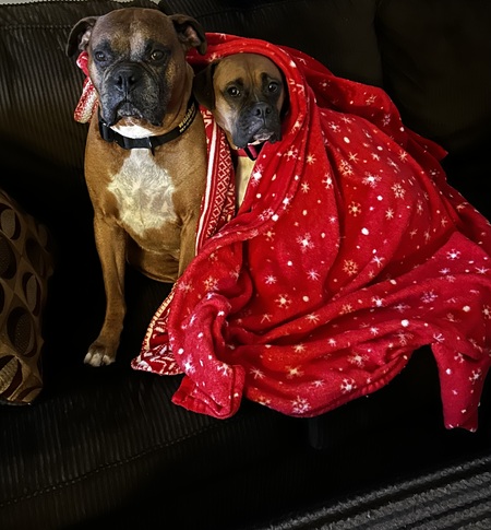 Entry image for Whiskey and Charley Mac. Clicking this image will show a larger photo