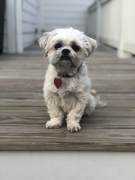 Entry image for Libby. Clicking this image will show a larger photo