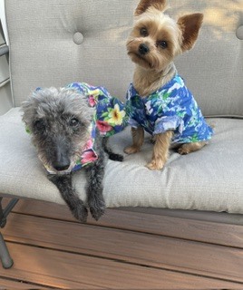 Entry image for Jarreau and Layla. Clicking this image will show a larger photo