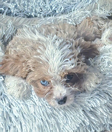 Entry image for Gabby Bow. Clicking this image will show a larger photo