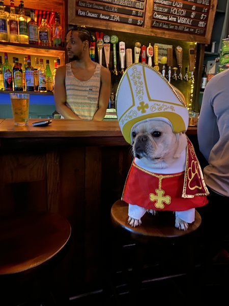 Entry image for Toast. Clicking this image will show a larger photo