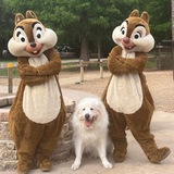 Entry image for Bo