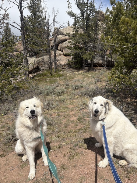 Entry image for Justice and Jessie. Clicking this image will show a larger photo