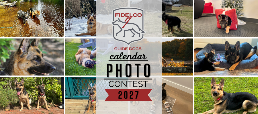 Banner for 2027 Fidelco Guide Dogs Calendar Photo Contest