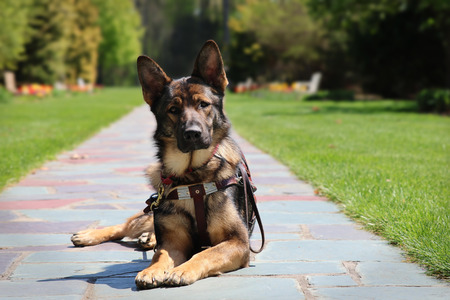 Entry image for Wyatt. Clicking this image will show a larger photo