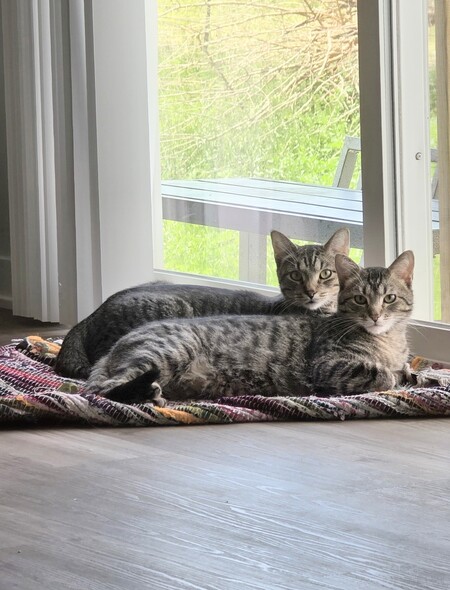 Entry image for Duluth & Wally. Clicking this image will show a larger photo