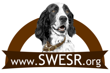 Logo for English Setter Snapshots Photo Contest