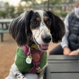Entry image for Mabel