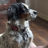 Entry image for Maggie