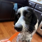 Entry image for Benny