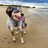 Entry image for Winnedoo