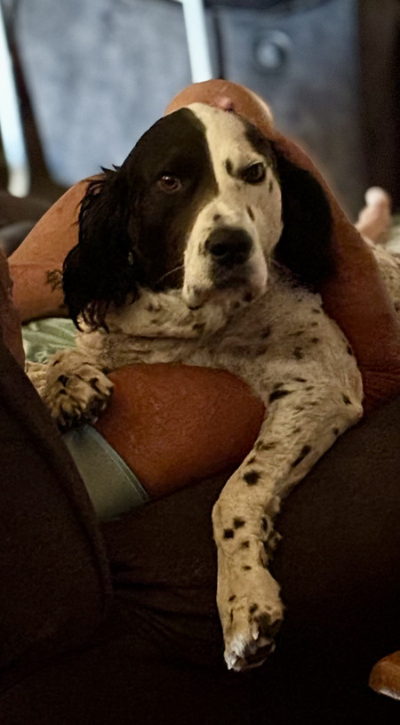 Entry image for Todd. Clicking this image will show a larger photo
