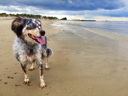 Entry image for Winnedoo. Clicking this image will show a larger photo